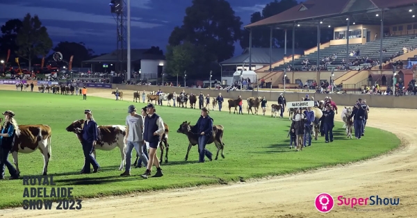 SuperShow at the Royal Adelaide Show 2023