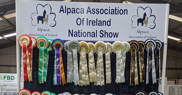 national-show-rosettes-1200