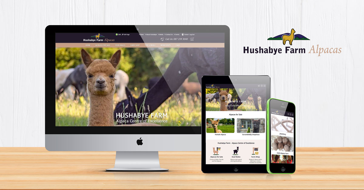 alpaca-website-design
